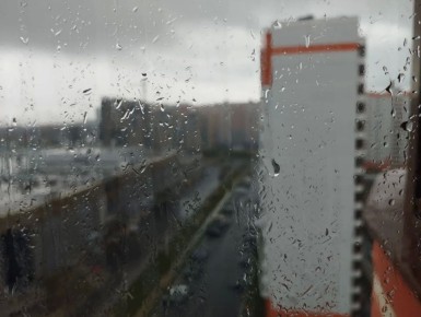 ����� ������������� � ������� ����� 23 ������