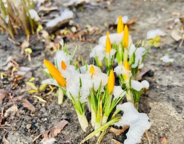 �� ���������� ������� ������� ��������� ��� ����� ����������� ������������� �������� ������ � �������� ��������� ���� � ������� ����� ����������� ���� ������������� ����� �� ��������� ��������