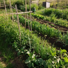 ��� �������� ��������: ������� ����������� ��������