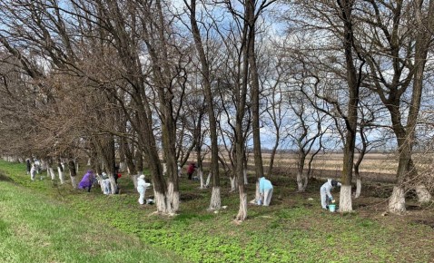 ����� � ����������� ������: ������� � ������� ��������� ����� �������!