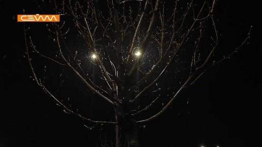 ���� � ��������� ����� ��������� � ������� ������� 24 ������