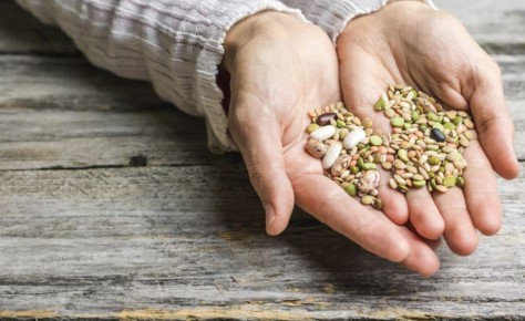 ��� ��������� ����������� ������ �����: ������ ��� ���������