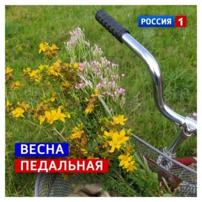 23 ������, �������. ������� ���� �������������