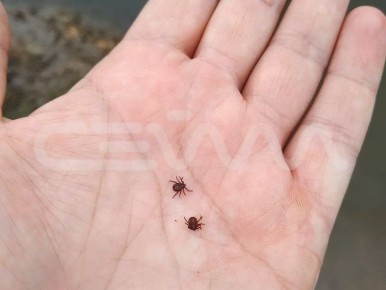 � ������ ���� ����� �������� 100 ������� ������� �������