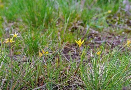 ������ ����, ����������� �����!