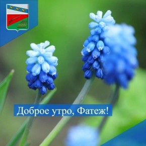 ������ ����. ������ ���� ������� ���������� ������ �������� ��������!