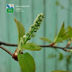 ������ ����!. ��������, +5�C ����, ������ � ���� ����� � ����� � ����� ������� �� �������