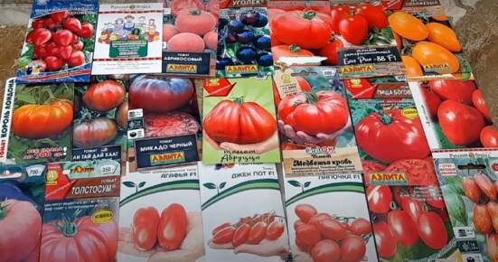 ����� ������������ �����: ���� ��� ������?