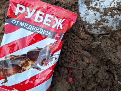 ����������� ������ � ���������: ���� ���������� ��������� ������