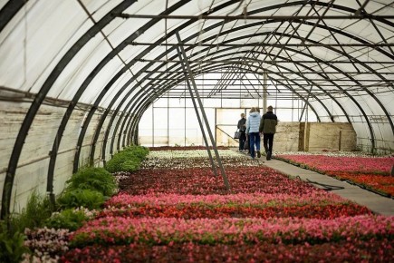 � ������ �� ��������� ������ ������� ����� 220 ����� ������