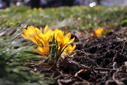 ������ ����!. �������, � �������, 24 ������, �� �������� ������������� ��������� ���, � ������� ������� �������