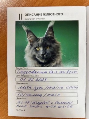 17 ����� � ����� �� ������� ������� �������� ��������������� � ����������� � 14 ����� ����