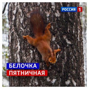 24 ������, �������. ��������� ������� ����� ��������� � ��� ��������, ��� �������� ������