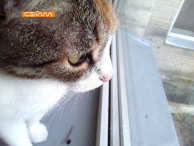 17 �������� �� ������� ������� �������� ���������� �� �����