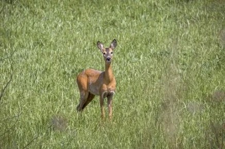 ��������� �������� ���� ��������� ������� ������������� �������� ��������� ���