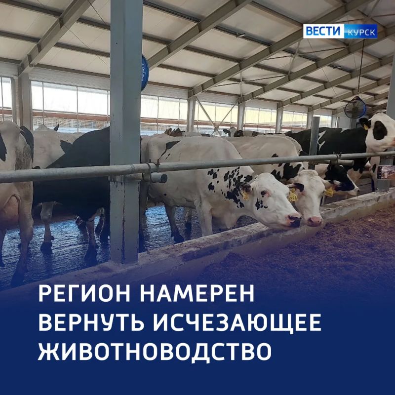 � ������� � ��������� �������� ��������� �������� �������� �����