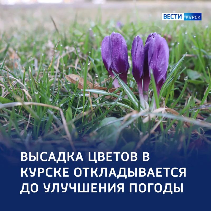������ �� �����: ��������� ������ ��������� ��� ������ �� ����������