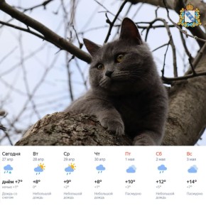 ���� ������, � ����� � ���