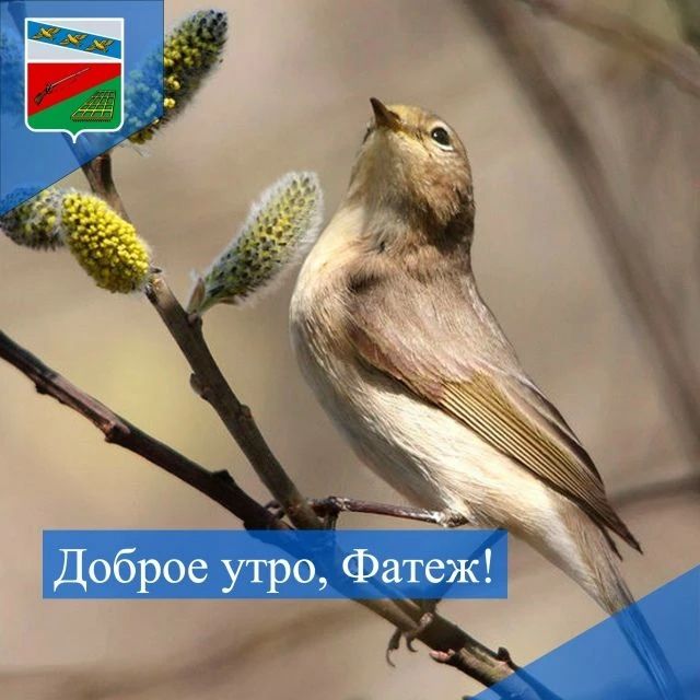 ������ ���� ������ �������� ������ ����� ������� ������! ����� ����������� ������� ����� � ���������