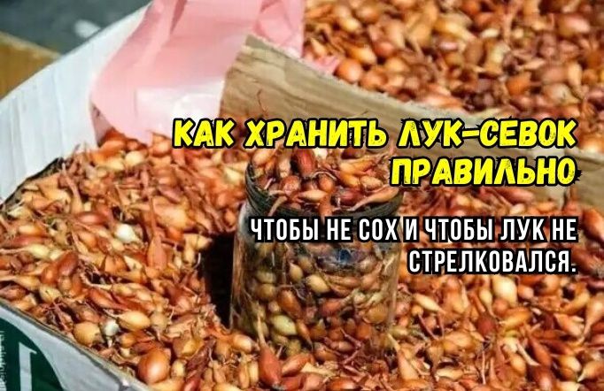 ������� ������������ �������� ����-����� �� �����