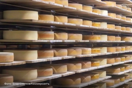 ������������ ������ ��������� ��������� ���� � ������� 49% ����� ������������ ������ ������ ���� � ������� �������