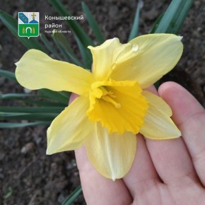 ������ ����! �������, ������� � ������������