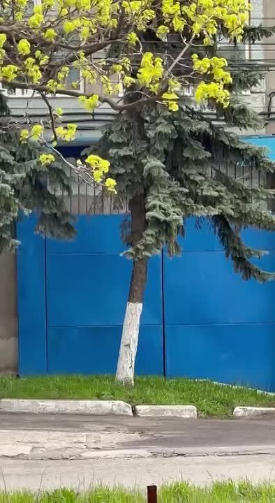 ��� 28 ������� � � ������ ��� ����