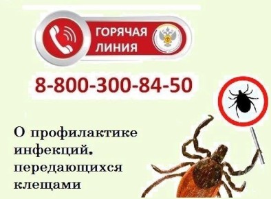 ���������� ���������������� �� ������� ������� �����������: � 27 ������ �� 10 ��� 2026 �. � ���������� �������� �������� ������ �� �������� ������������ ��������, ������������ �������