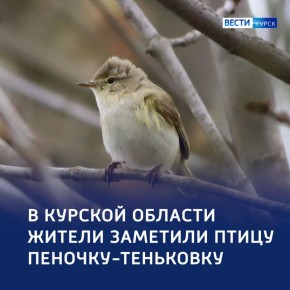 ��������� � � ������� �������: ������ � ���������� �������