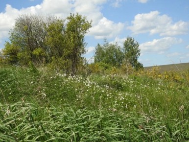 ������� ������� � ������������ ������ ������� �������� ��� ������� � ������ ��������������� ������ ������������