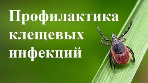 �������� ������: ��������� ������ ����������������� ������!