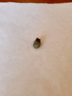 � ������� ������� ����� 130 ������� ���������� �� ������ ������ � ������ ������