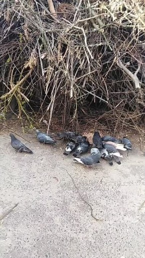 ������������� ��������� ���� ���� ������������� ������� ����� � ������