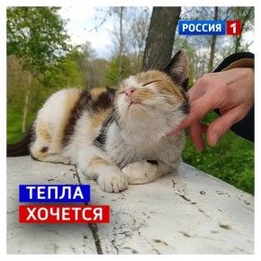 29 ������, �����. ������� ���� �������� �����