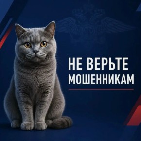 ��� ���� ������� �� ������ �������� �� �������� ����������