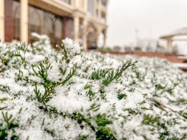 ��� � ������� ������� �������� � ���������� � ������� �����