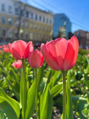 ����� � ������� ������� �������� �����