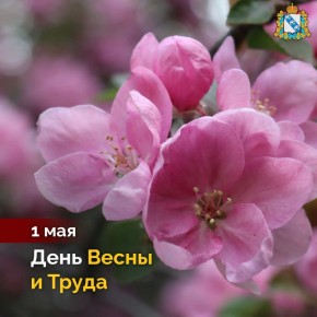 ����������� � ���� ����� � �����! ������ �������� ������ ������, ������� ������ � ��������� ����������
