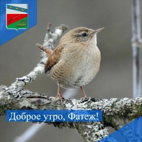 ������ ����. ������� �����������, � ������� ��� ��� ���������� ������� ������