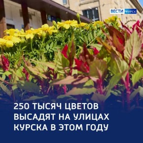��������� ���: 250 ����� �������� ������� ����� ������