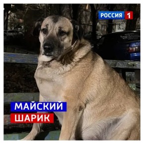 4 ���, �����������. ��������, ���� ������� ��������� ������� ��������