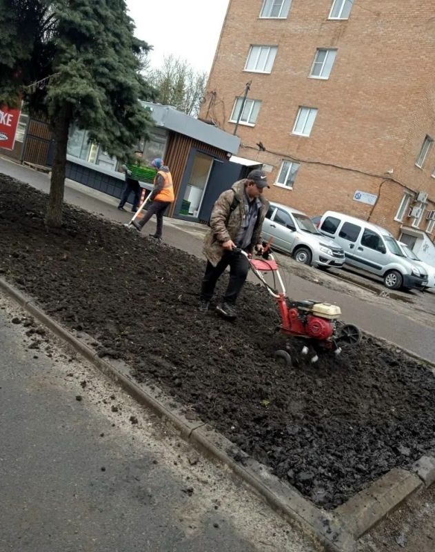 !В Железногорске приступают к озеленению города