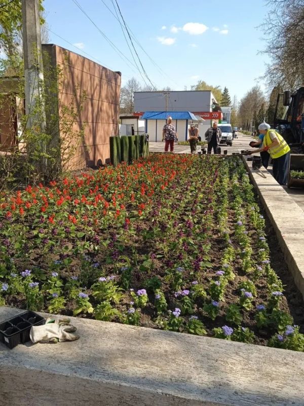 !В Железногорске приступают к озеленению города !В Железногорске приступают к озеленению города