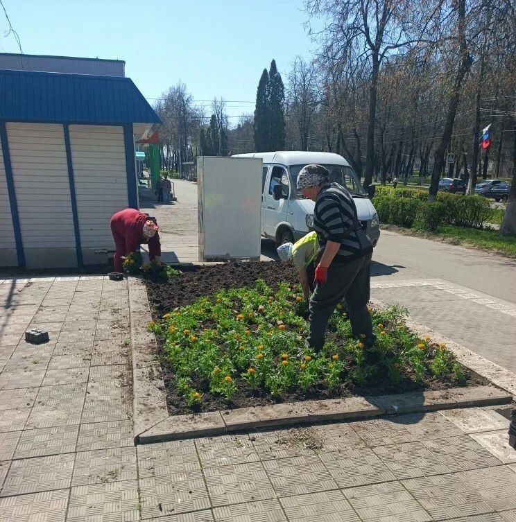 !В Железногорске приступают к озеленению города !В Железногорске приступают к озеленению города
