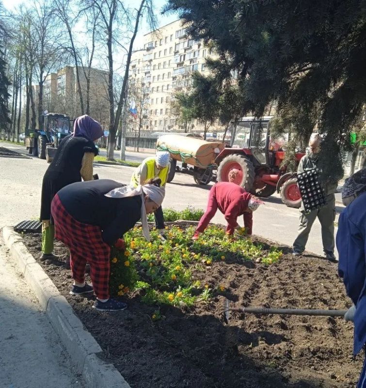 !В Железногорске приступают к озеленению города !В Железногорске приступают к озеленению города