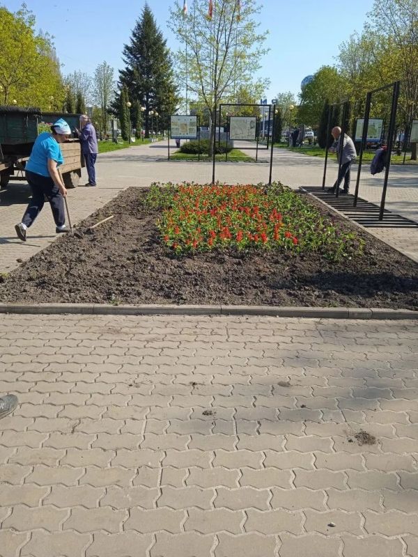 !В Железногорске приступают к озеленению города !В Железногорске приступают к озеленению города