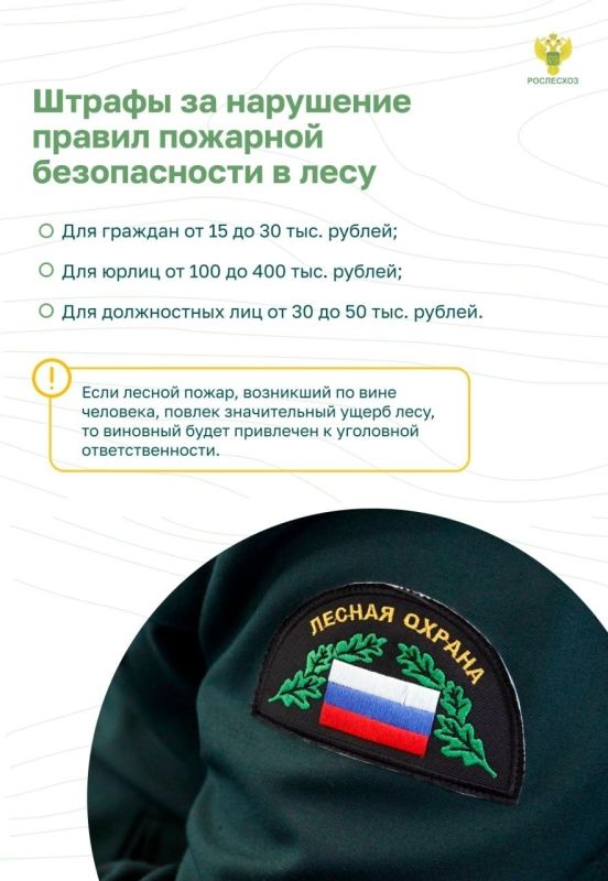 #ОстановиОгонь ! Пожарная безопасность в лесу: преступление и наказание #ОстановиОгонь ! Пожарная безопасность в лесу: преступление и наказание