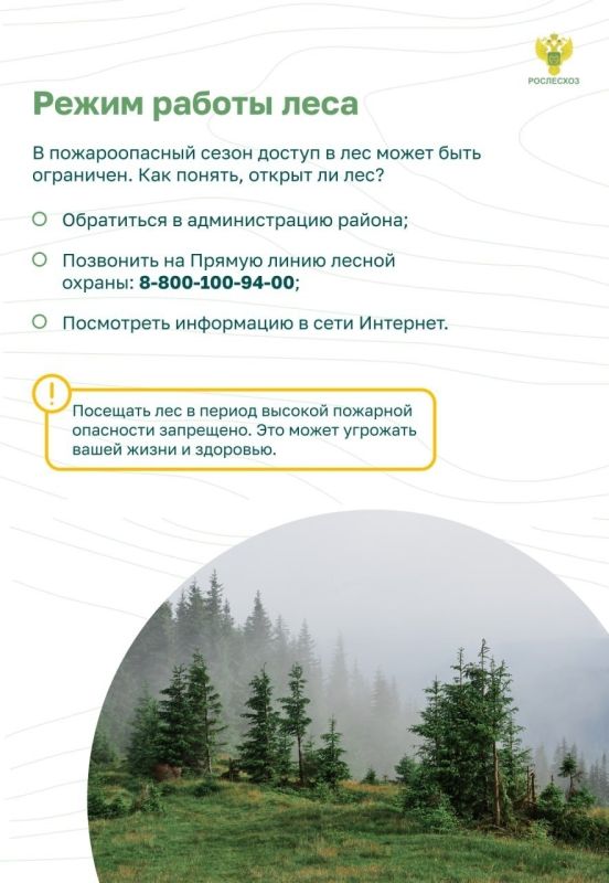 #ОстановиОгонь ! Пожарная безопасность в лесу: преступление и наказание #ОстановиОгонь ! Пожарная безопасность в лесу: преступление и наказание