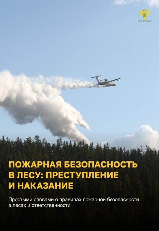 #ОстановиОгонь ! Пожарная безопасность в лесу: преступление и наказание