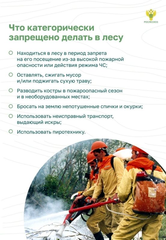 #ОстановиОгонь ! Пожарная безопасность в лесу: преступление и наказание #ОстановиОгонь ! Пожарная безопасность в лесу: преступление и наказание